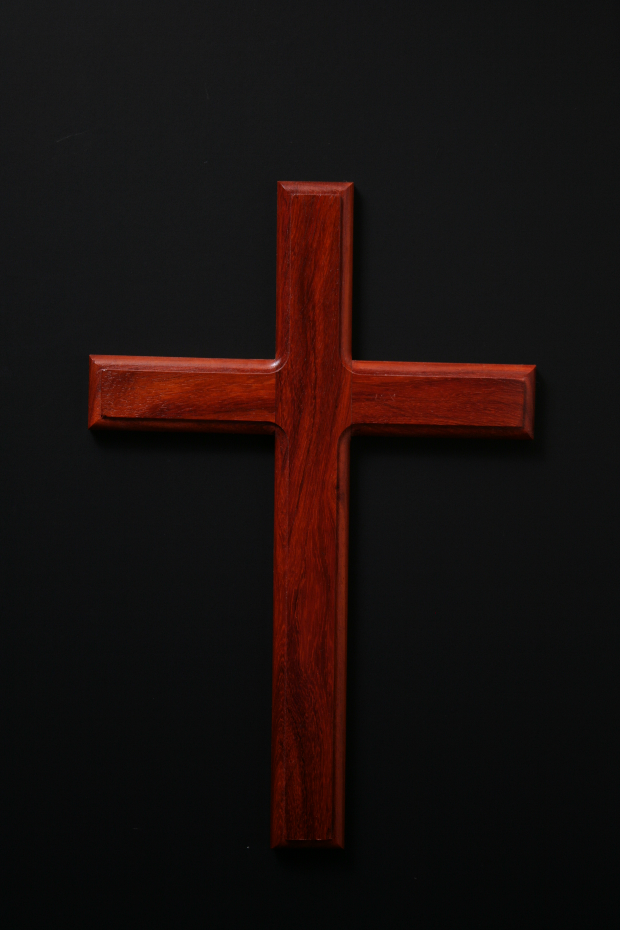 Padauk_on_black